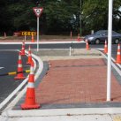 32. Median- Hamilton Rd. Cambridge Tree Trust